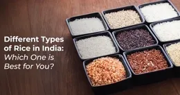 Rice varieties